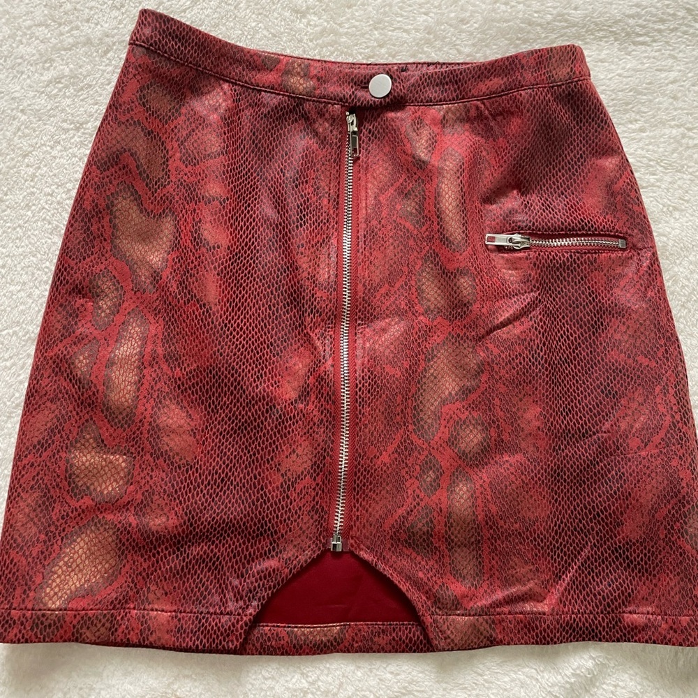 Fashion Nova Mini Skirt